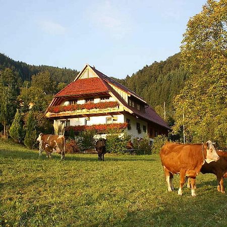 Unterer Gurethshof Leilighet Zell am Harmersbach Eksteriør bilde