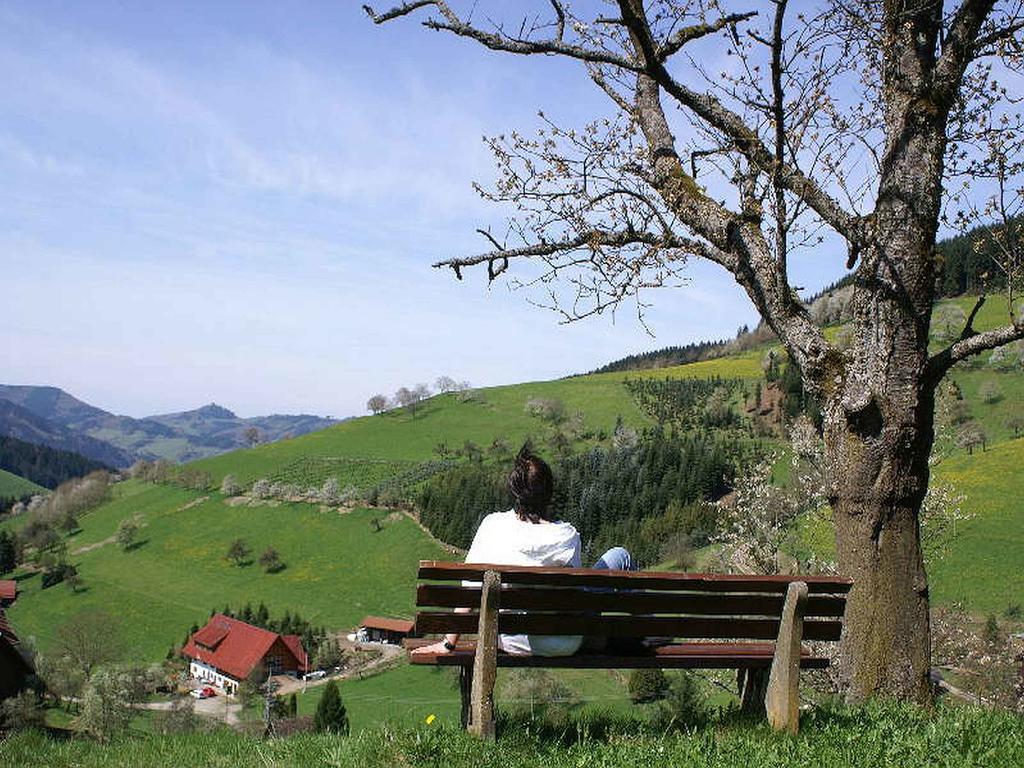 Unterer Gurethshof Leilighet Zell am Harmersbach Eksteriør bilde