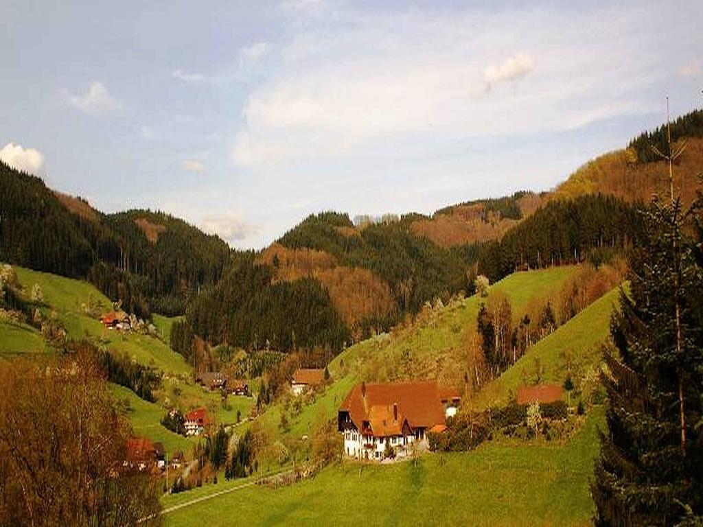 Unterer Gurethshof Leilighet Zell am Harmersbach Eksteriør bilde