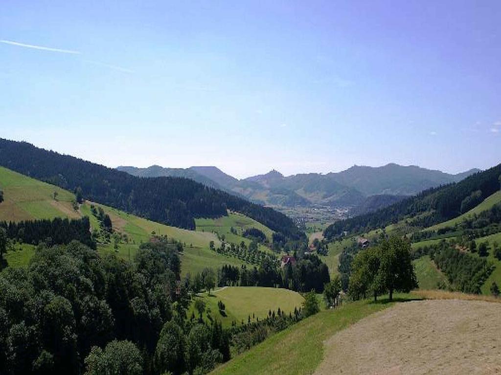 Unterer Gurethshof Leilighet Zell am Harmersbach Eksteriør bilde