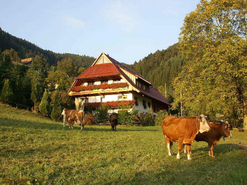 Unterer Gurethshof Leilighet Zell am Harmersbach Eksteriør bilde
