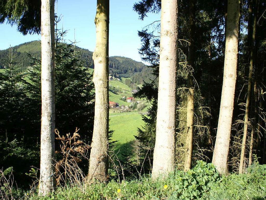 Unterer Gurethshof Leilighet Zell am Harmersbach Eksteriør bilde